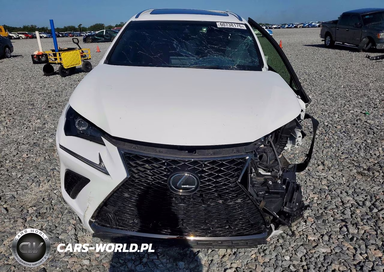 2019 Lexus Nx 300 F Sport VIN:JTJYARBZXK2118318 - 5