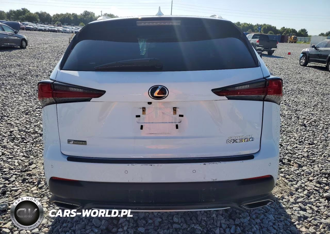 2019 Lexus Nx 300 F Sport VIN:JTJYARBZXK2118318 - 6