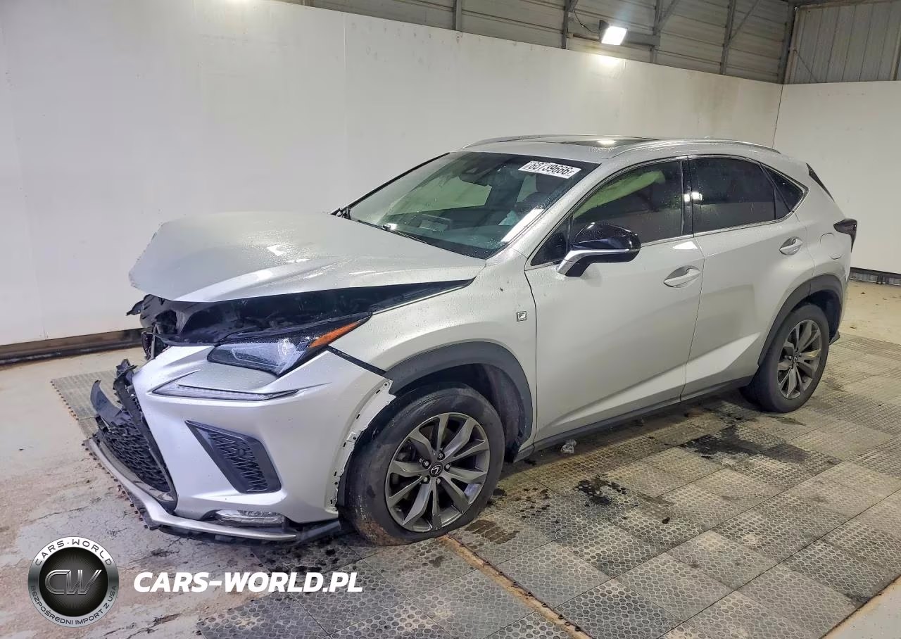 2019 Lexus Nx 300 F Sport