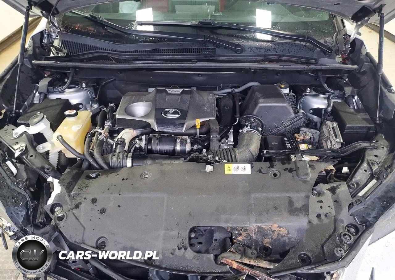 2019 Lexus Nx 300 F Sport VIN:JTJYARBZ3K2129161 - 12
