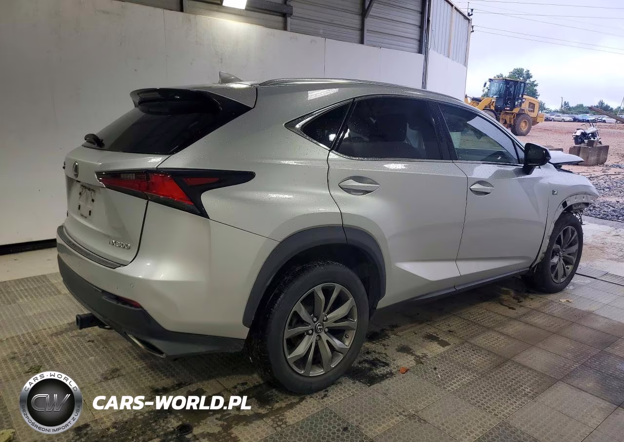 2019 Lexus Nx 300 F Sport VIN:JTJYARBZ3K2129161 - 3
