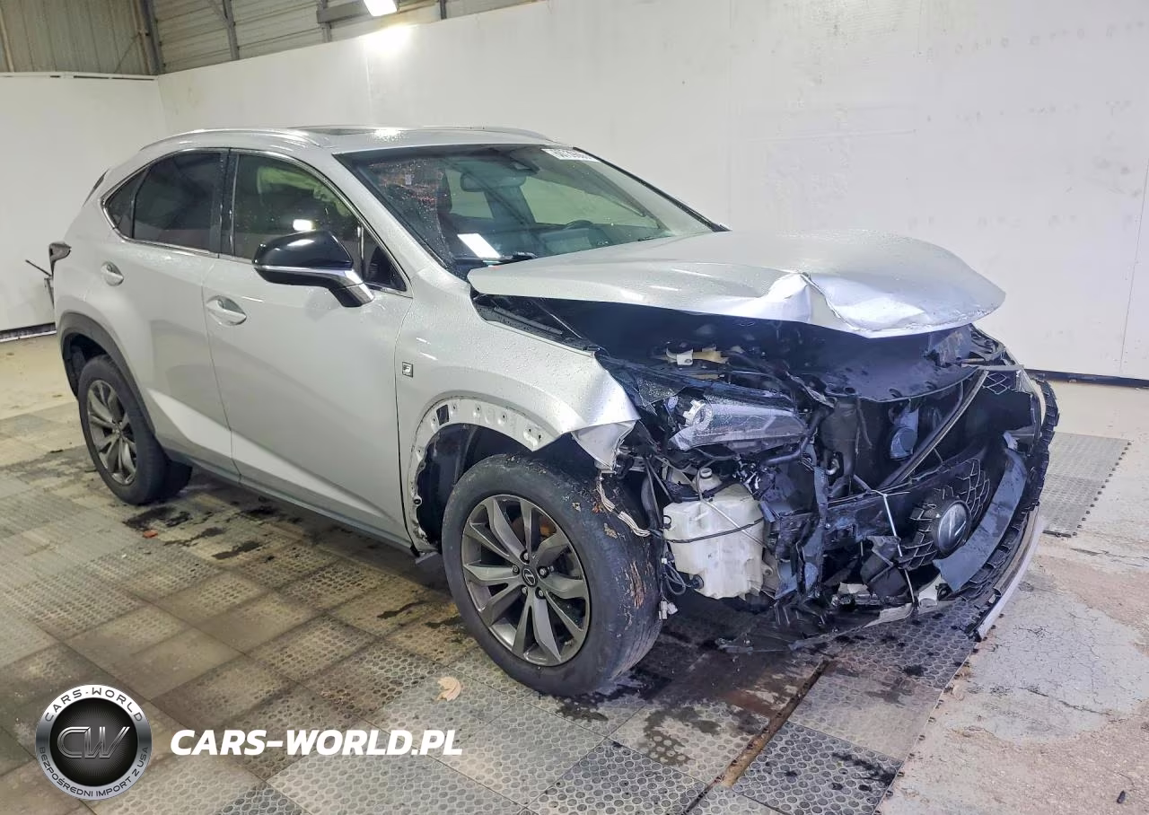 2019 Lexus Nx 300 F Sport VIN:JTJYARBZ3K2129161 - 4