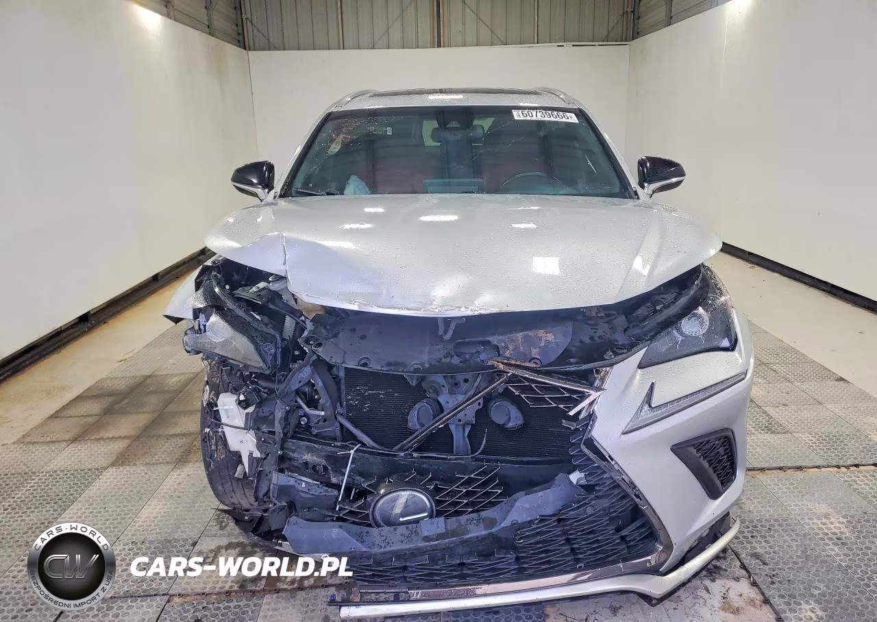 2019 Lexus Nx 300 F Sport VIN:JTJYARBZ3K2129161 - 5