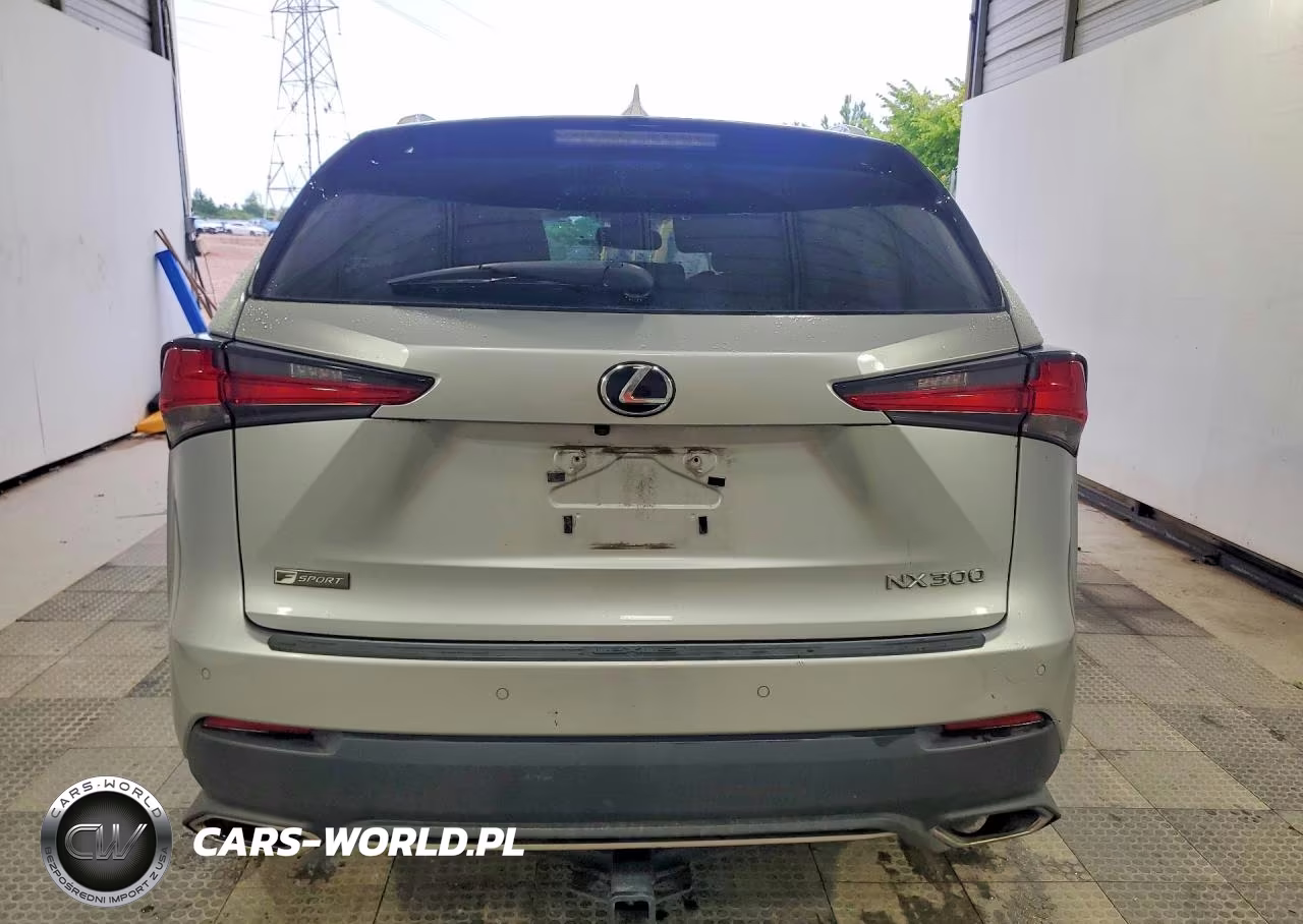 2019 Lexus Nx 300 F Sport VIN:JTJYARBZ3K2129161 - 6