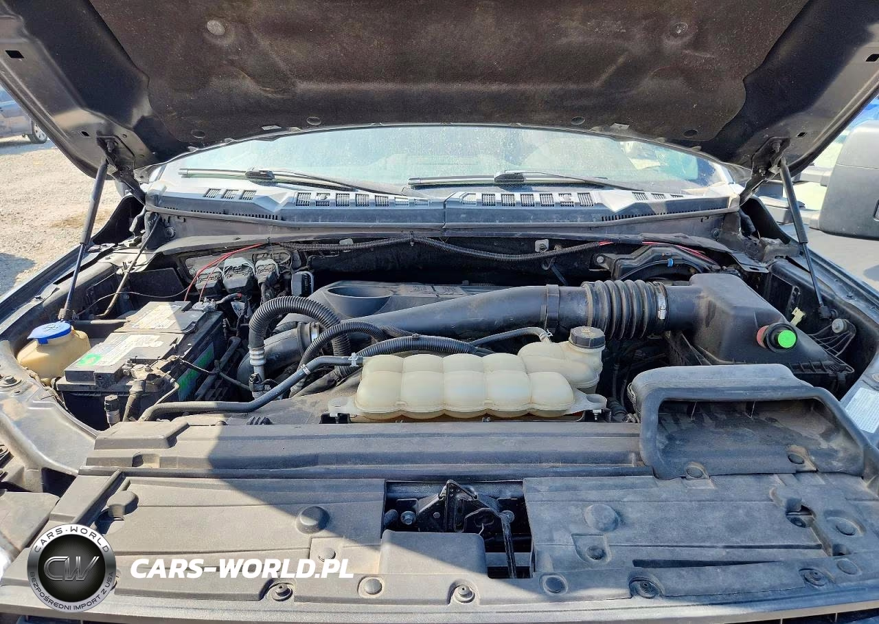 2019 Ford F150 Supercrew VIN:1FTFW1E17KFA35831 - 11