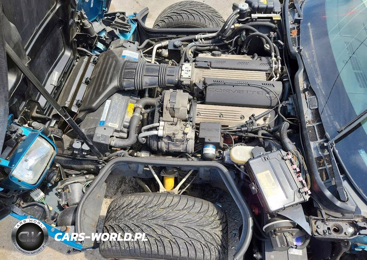 1992 Chevrolet Corvette VIN:1G1YY33P5N5112432 - 11