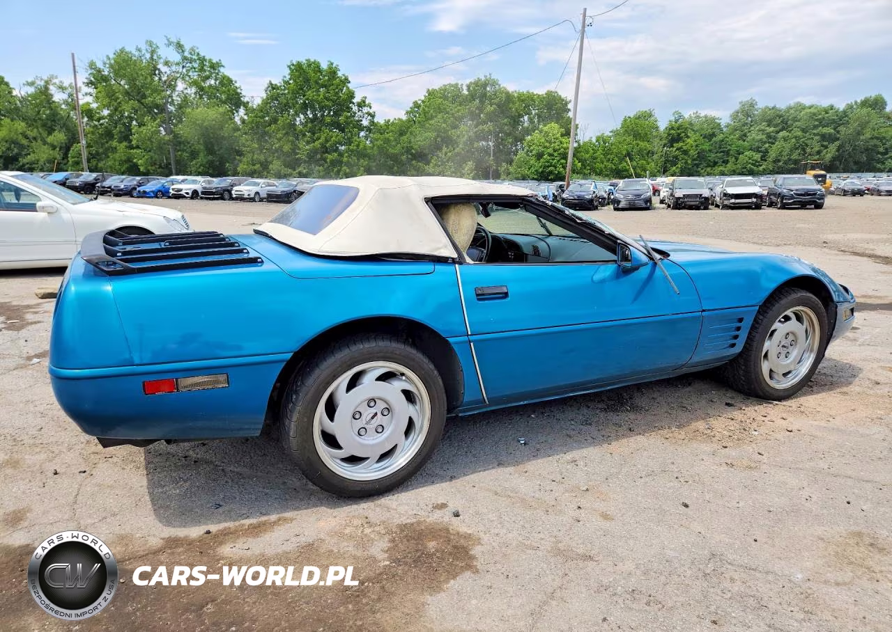 1992 Chevrolet Corvette VIN:1G1YY33P5N5112432 - 3