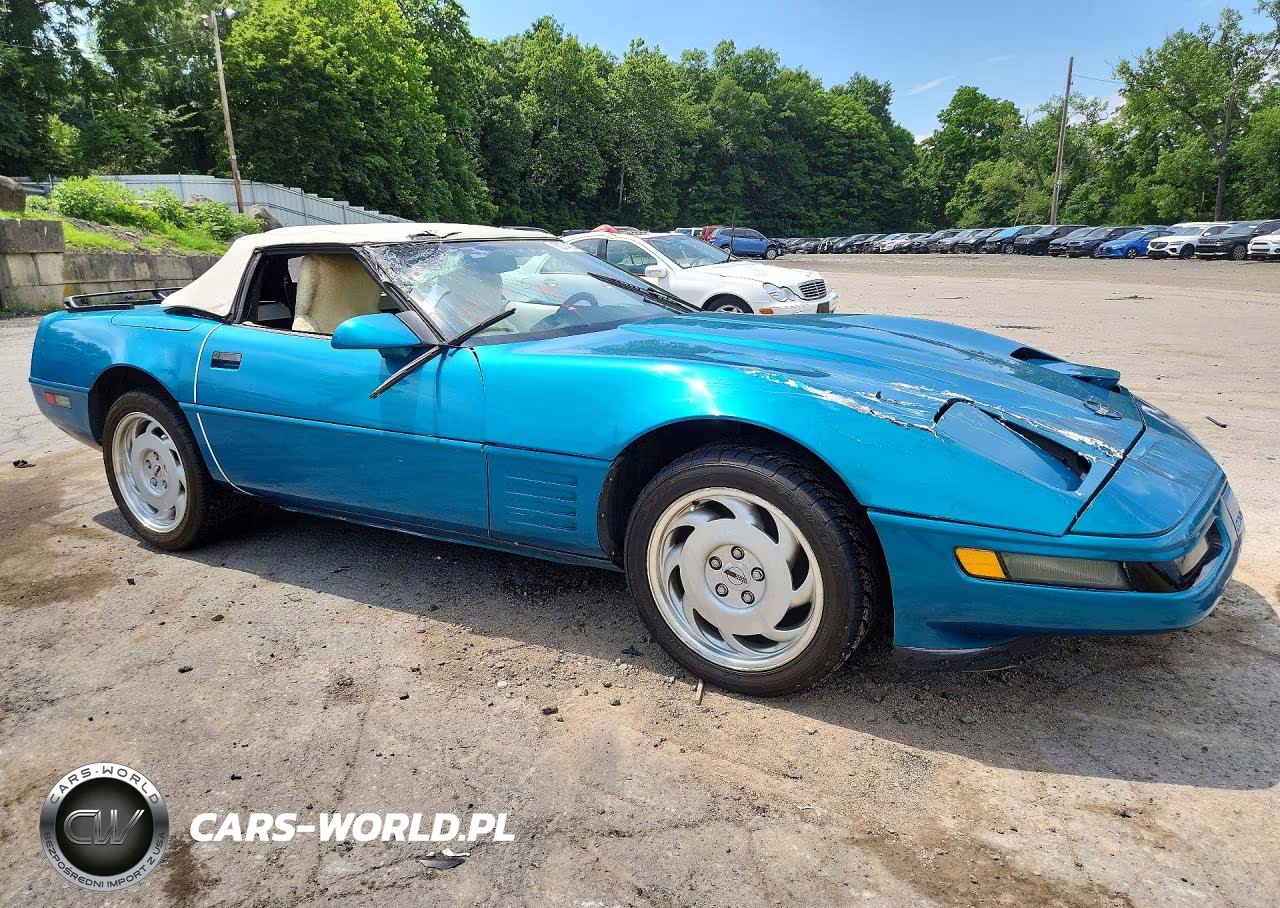 1992 Chevrolet Corvette VIN:1G1YY33P5N5112432 - 4