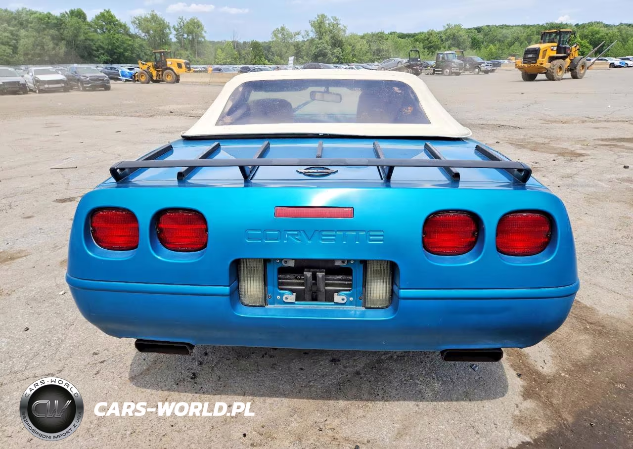 1992 Chevrolet Corvette VIN:1G1YY33P5N5112432 - 6