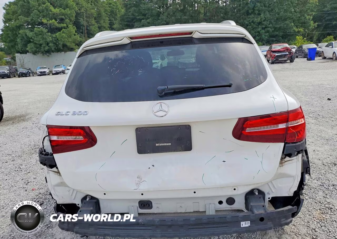 2017 Mercedes-Benz Glc 300 VIN:WDC0G4JBXHF163163 - 6