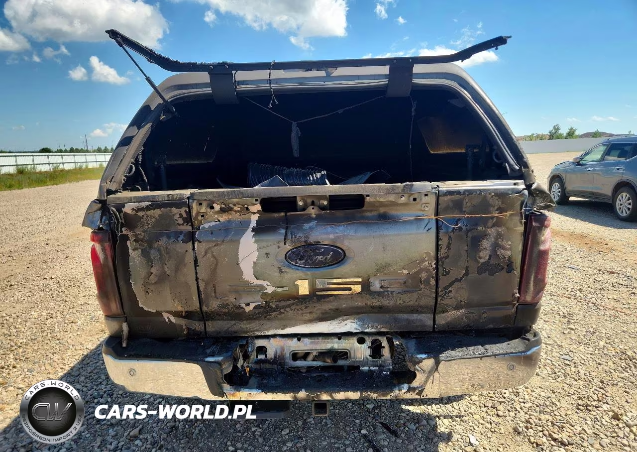 2024 Ford F150 Lariat VIN:1FTFW5L87RFB74990 - 6