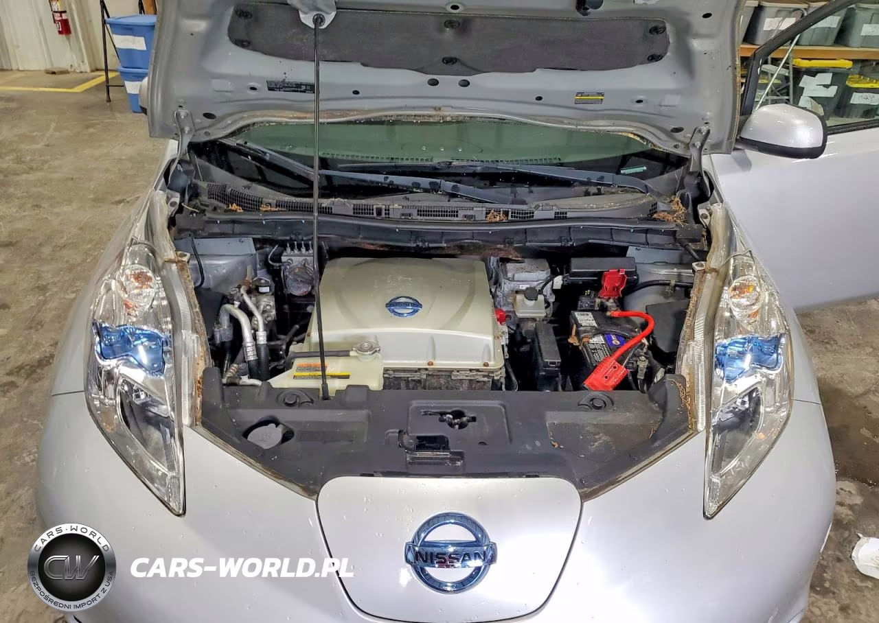 2015 Nissan Leaf Sv VIN:1N4AZ0CP6FC305194 - 12