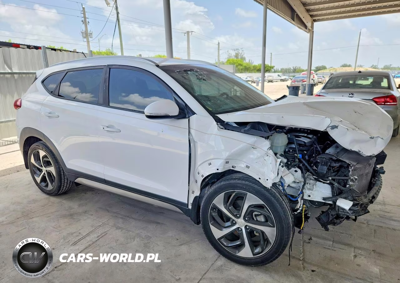 2017 Hyundai Tucson Sport VIN:KM8J33A21HU290780 - 4