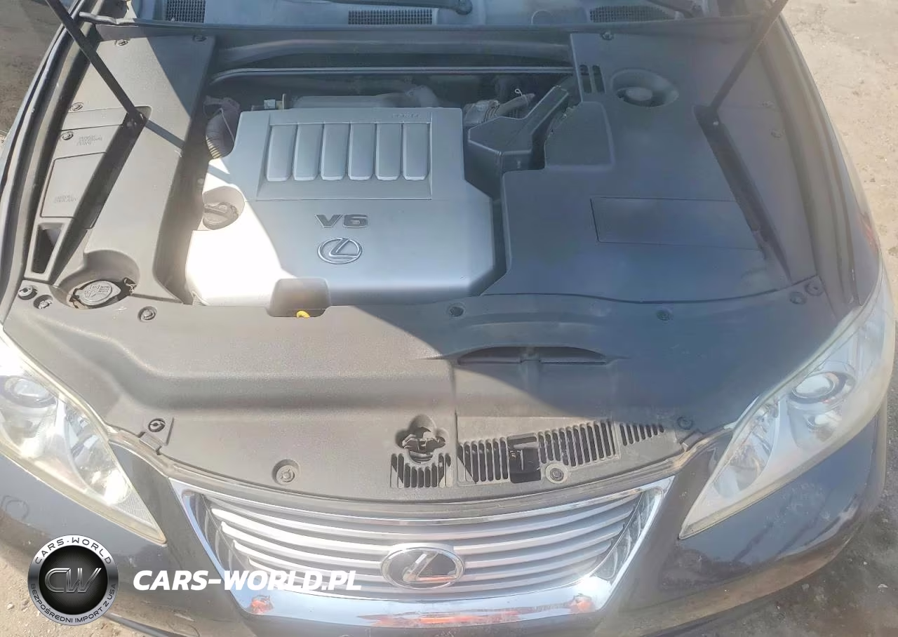 2009 Lexus Es 350 VIN:JTHBJ46G192288273 - 11