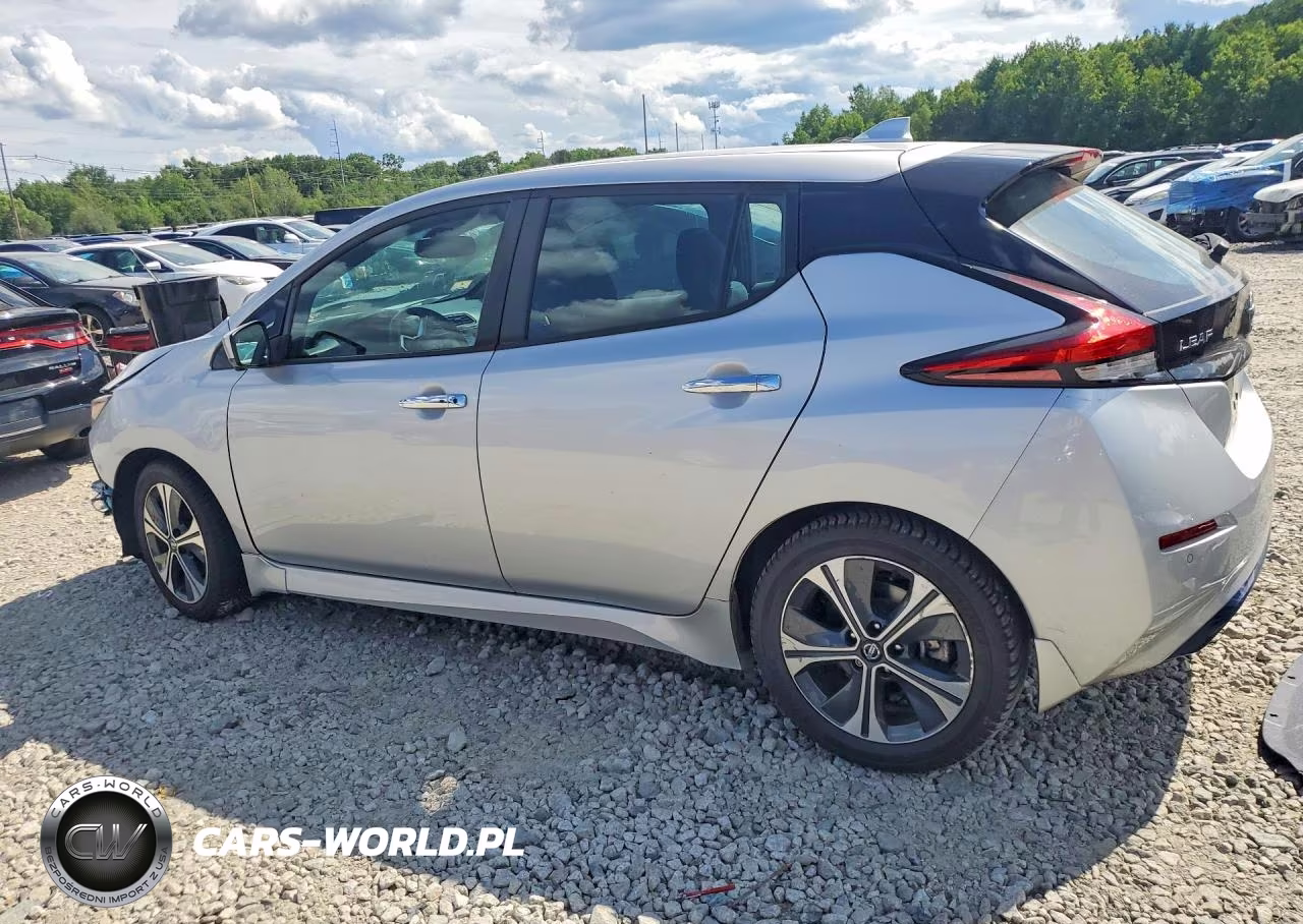 2020 Nissan Leaf Sv VIN:1N4AZ1CP6LC308677 - 2
