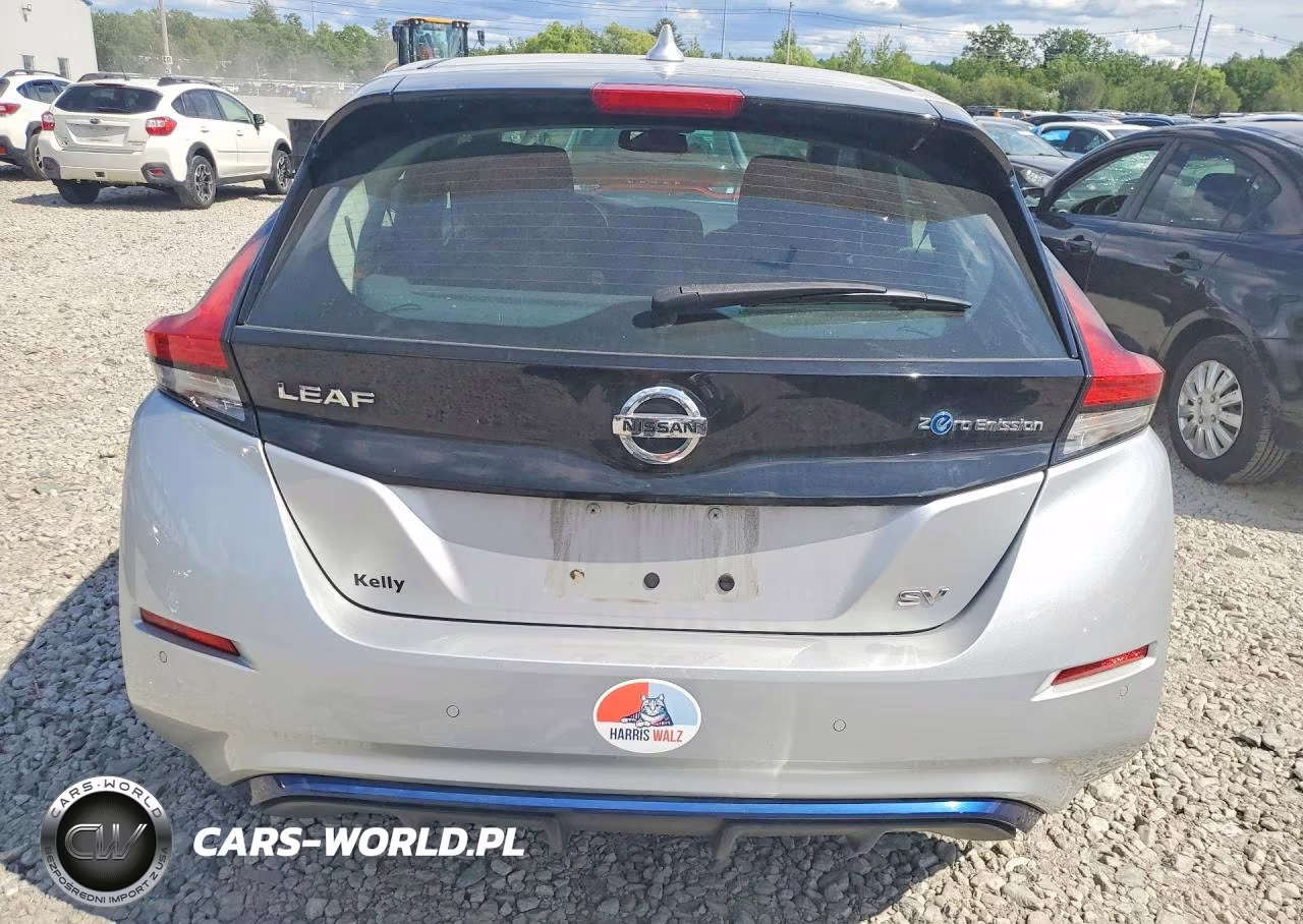 2020 Nissan Leaf Sv VIN:1N4AZ1CP6LC308677 - 6