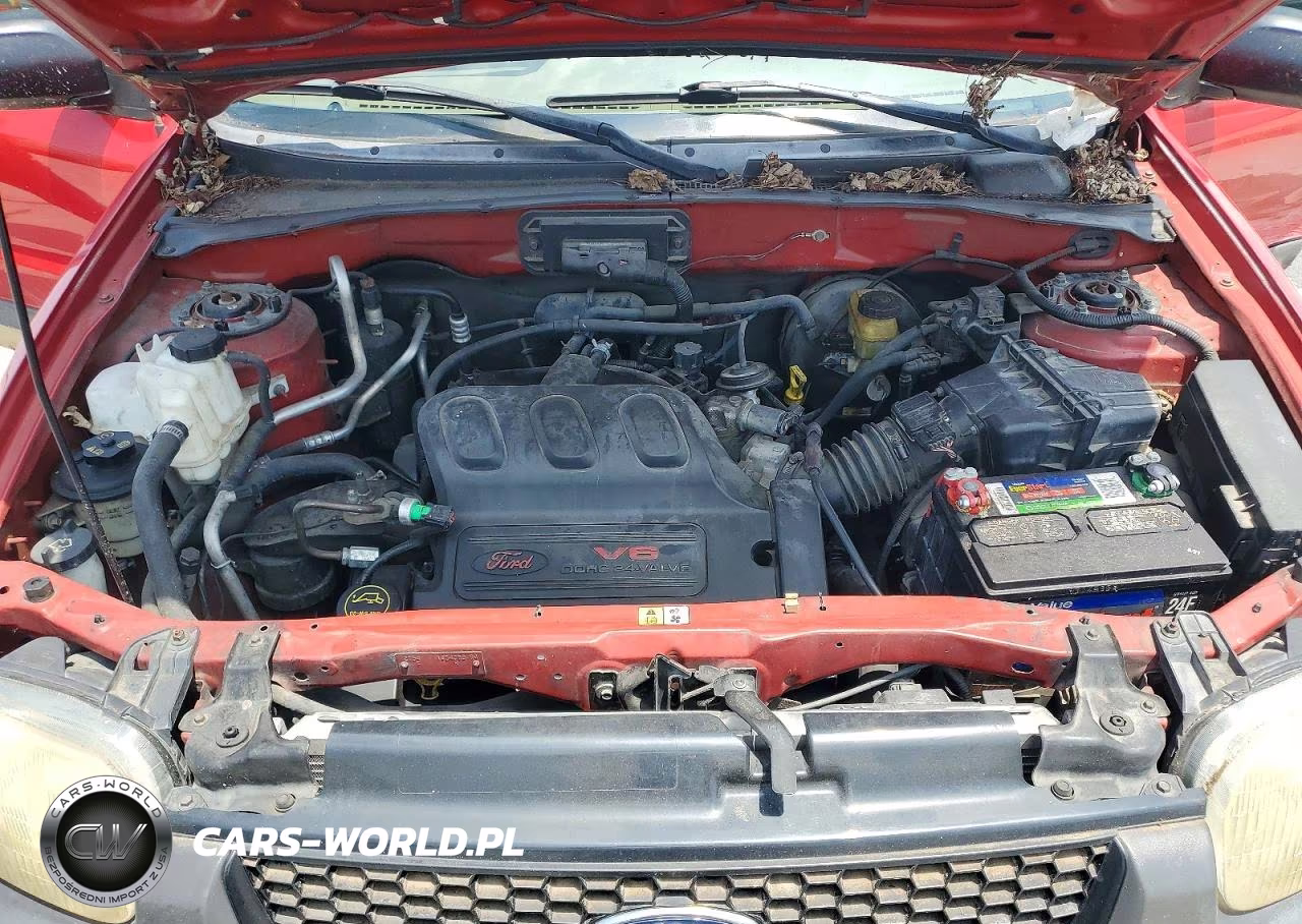 2002 Ford Escape VIN:1FMYU011X2KB70173 - 11