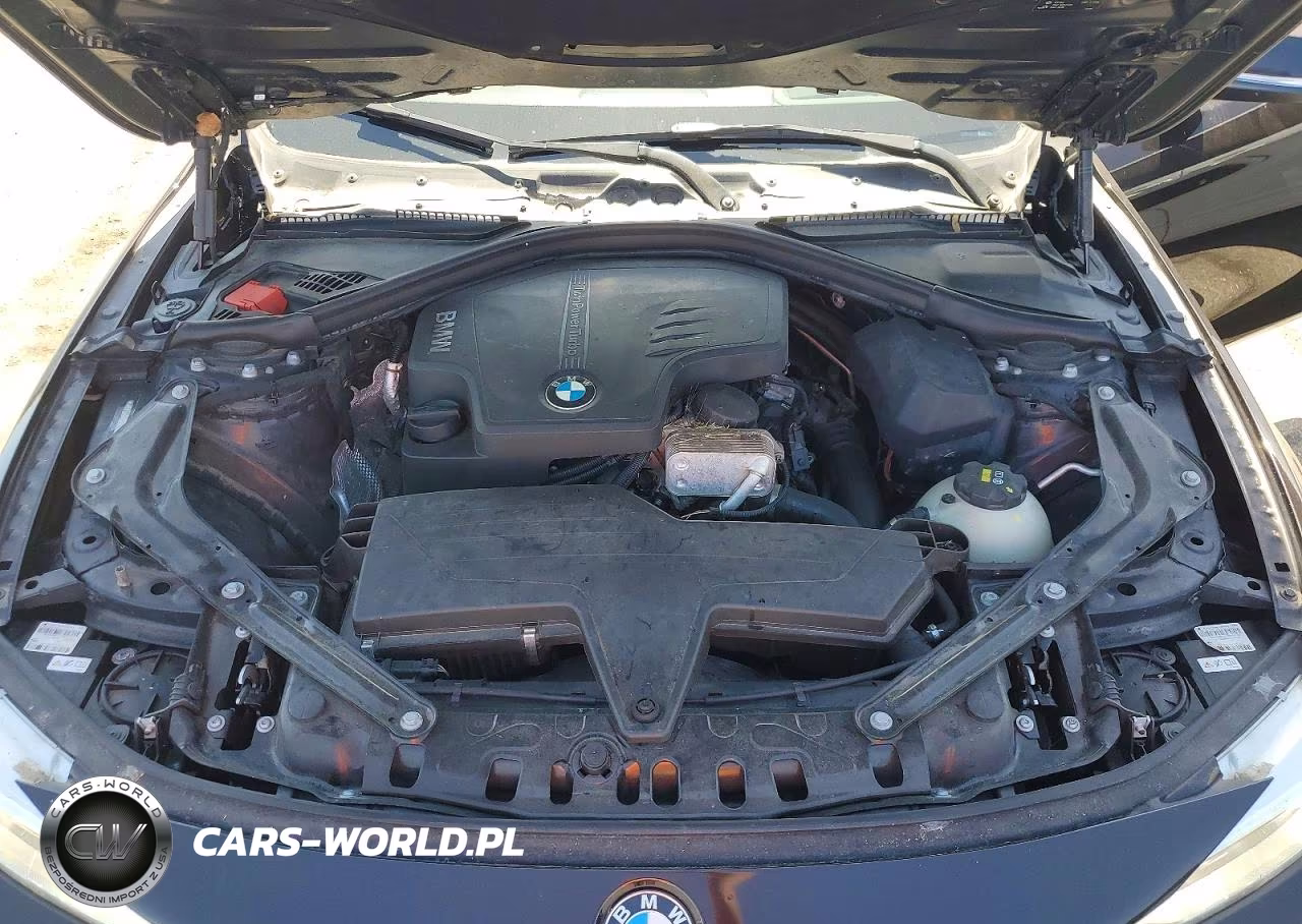 2016 BMW 428 I Sulev VIN:WBA3V7C50G5A26626 - 11