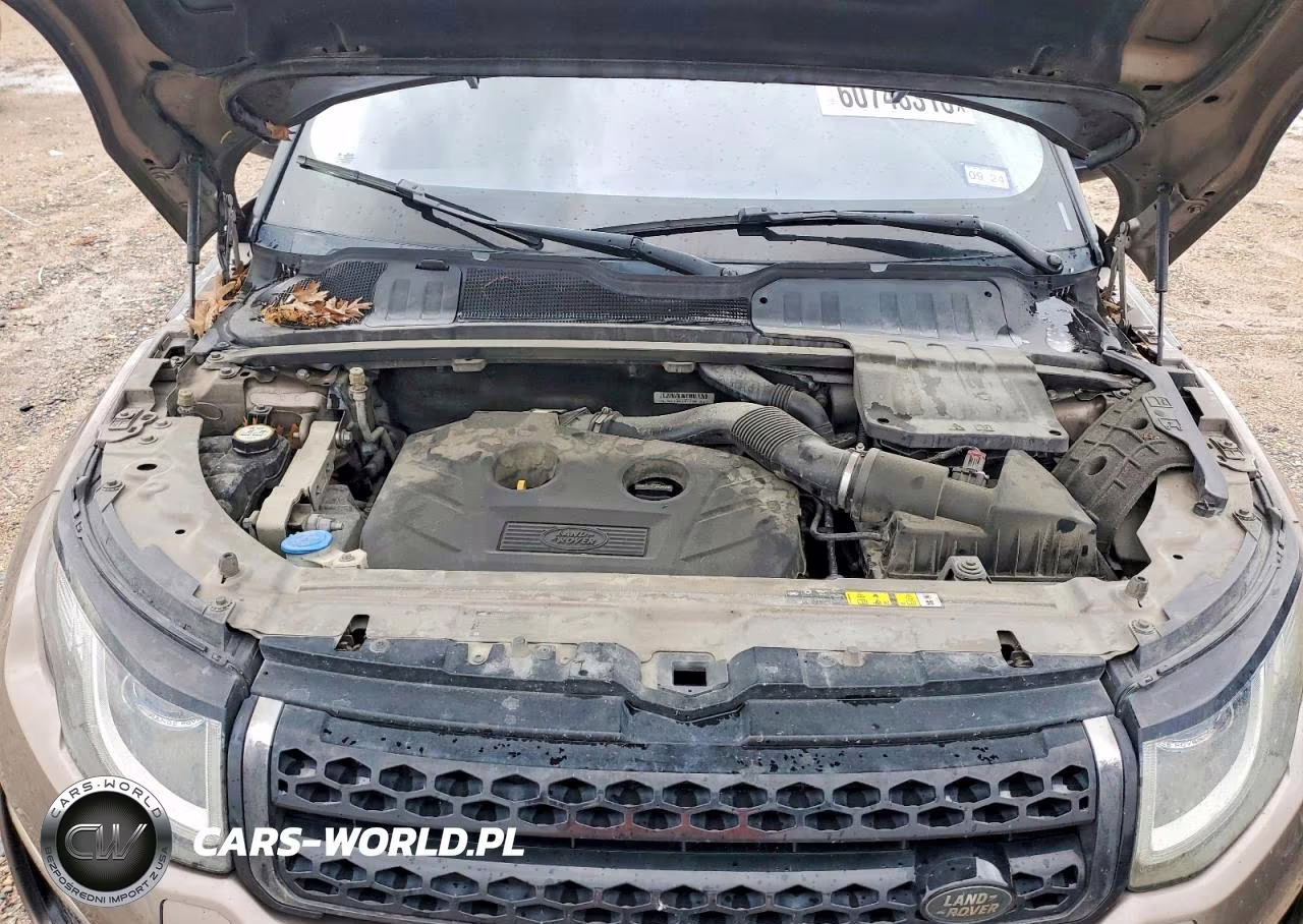 2016 Land Rover Range Rover Evoque Se VIN:SALVP2BG2GH143642 - 12
