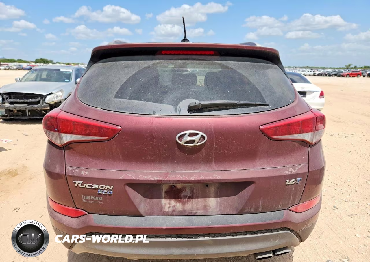 2016 Hyundai Tucson Eco VIN:KM8J33A22GU195479 - 6