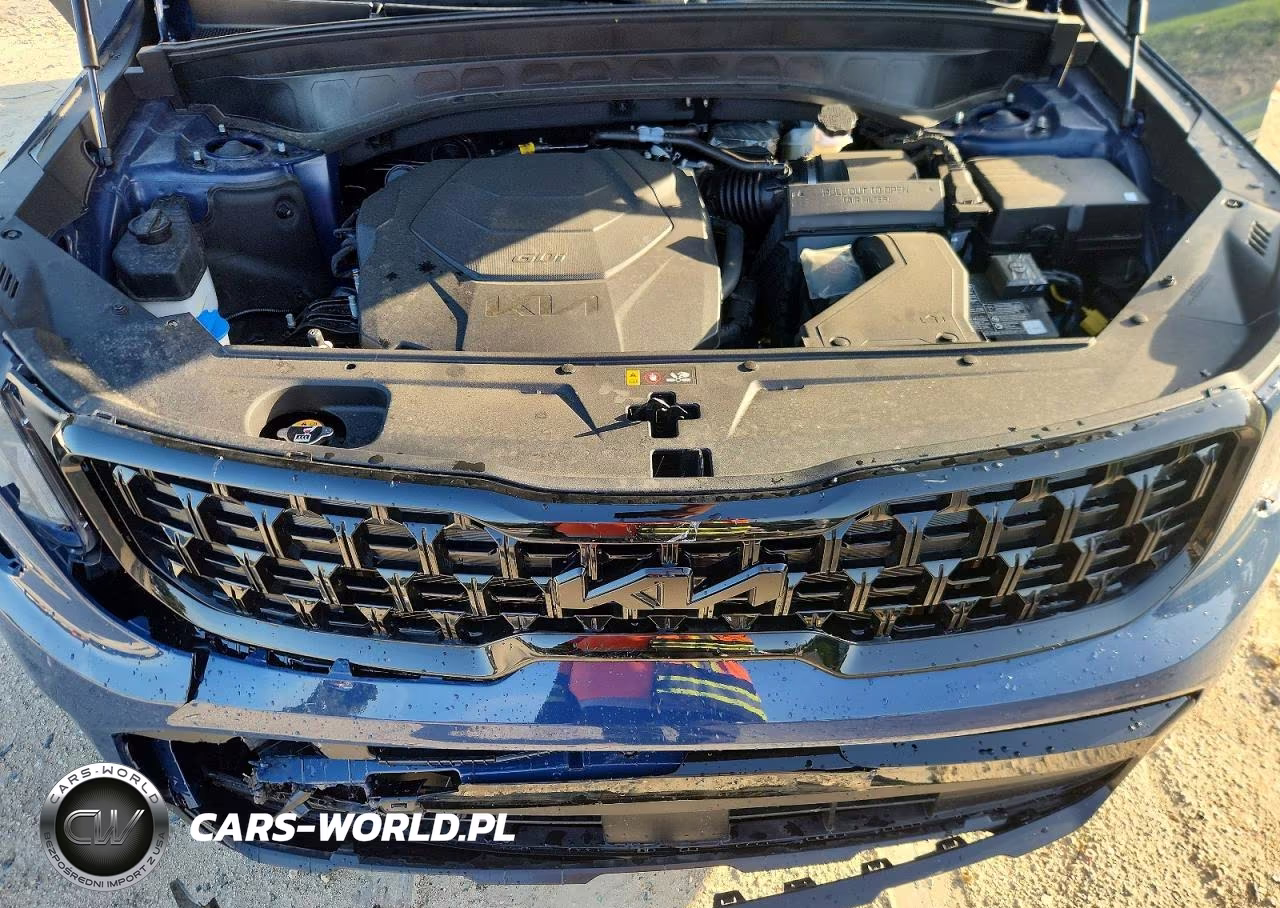 2025 Kia Telluride Ex X-Line VIN:5XYP3DGC8SG726294 - 12