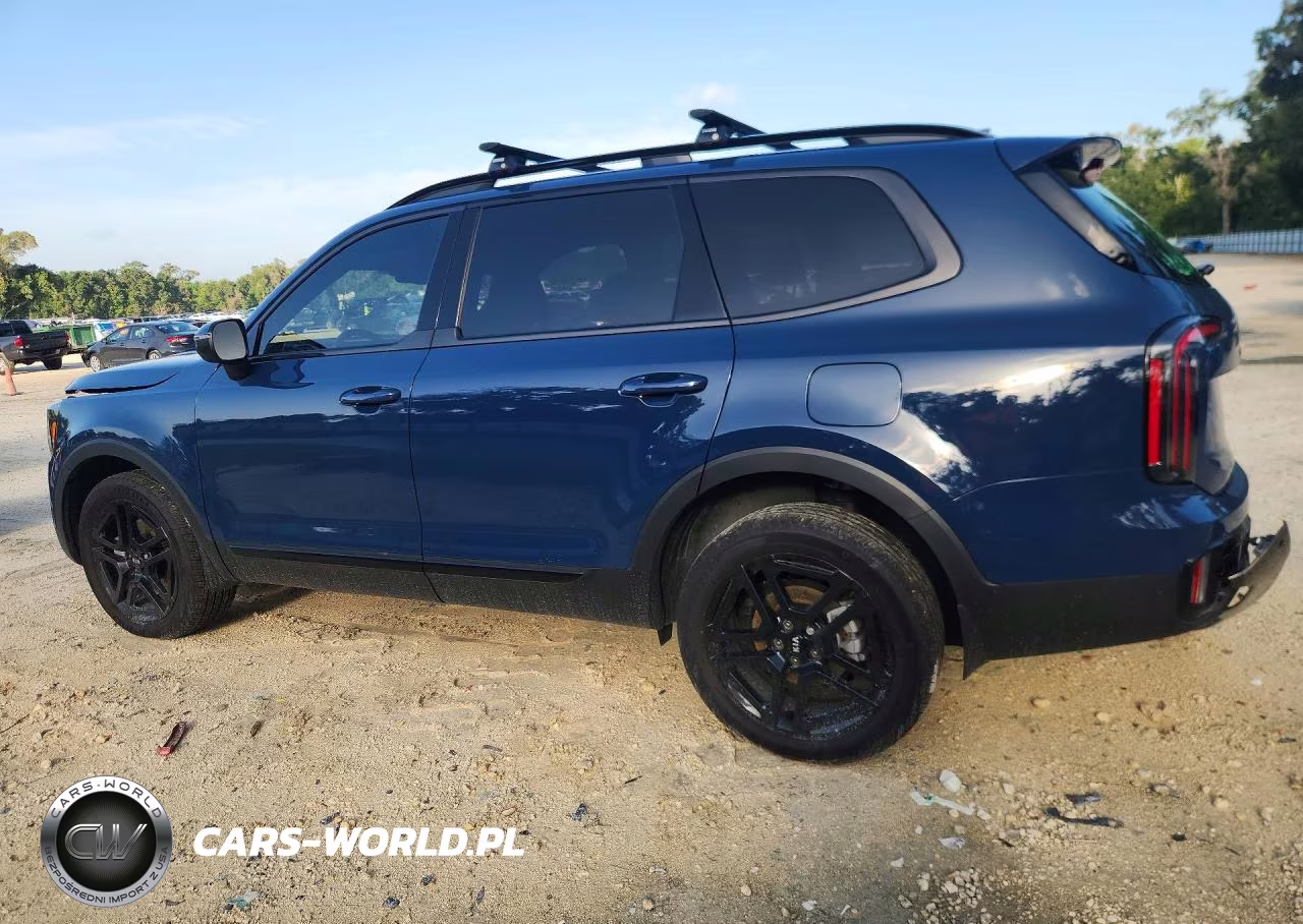 2025 Kia Telluride Ex X-Line VIN:5XYP3DGC8SG726294 - 2