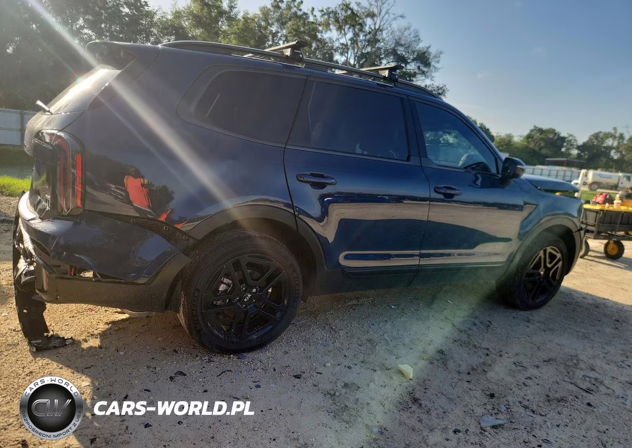 2025 Kia Telluride Ex X-Line VIN:5XYP3DGC8SG726294 - 3