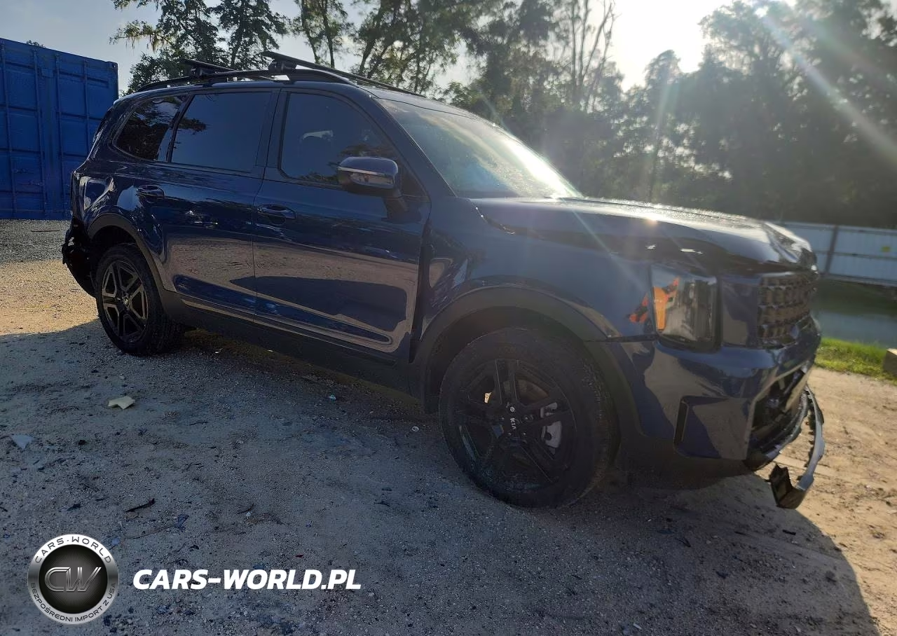 2025 Kia Telluride Ex X-Line VIN:5XYP3DGC8SG726294 - 4