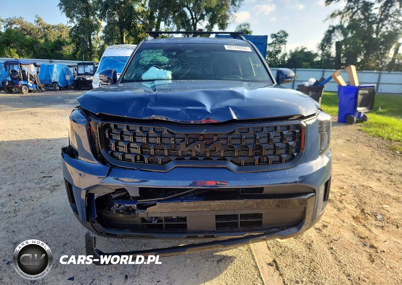 2025 Kia Telluride Ex X-Line VIN:5XYP3DGC8SG726294 - 5
