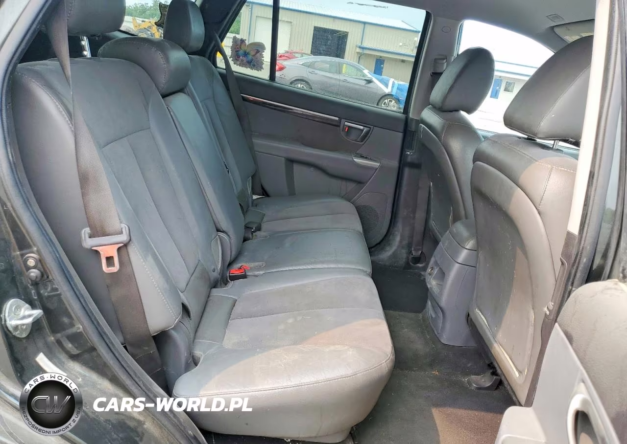2010 Hyundai Santa Fe Se VIN:5NMSH4AG2AH354141 - 10
