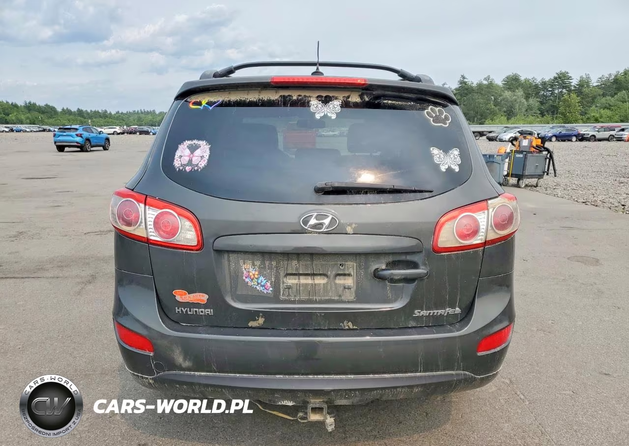 2010 Hyundai Santa Fe Se VIN:5NMSH4AG2AH354141 - 6