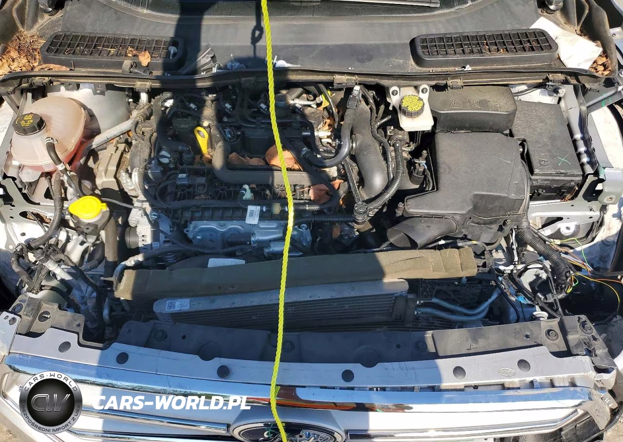 2019 Ford Escape Sel VIN:1FMCU0HD7KUB84532 - 12