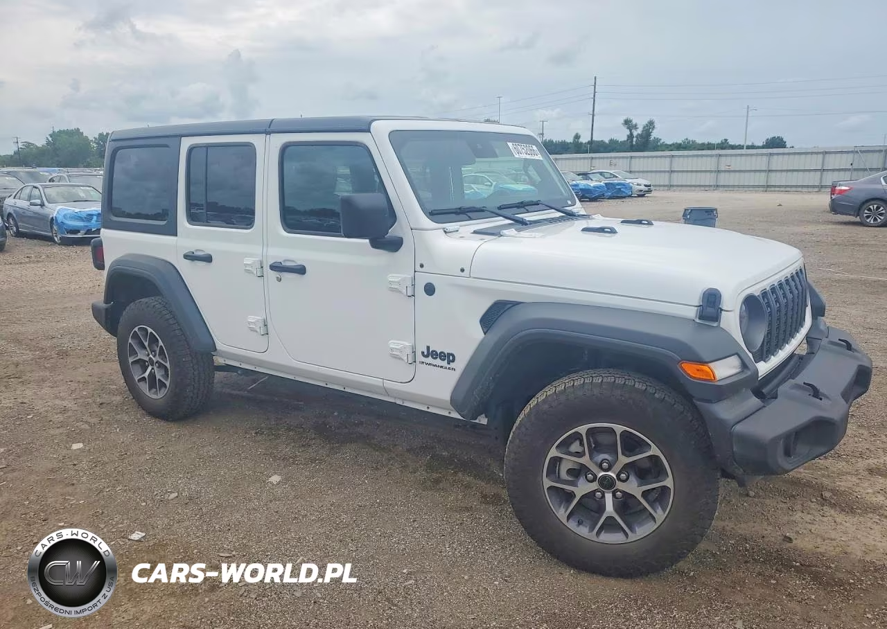 2025 Jeep Wrangler Sport VIN:1C4PJXDG9SW619661 - 4