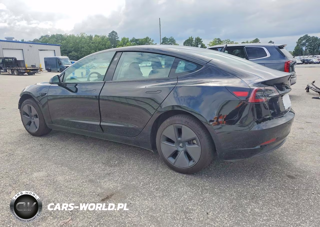 2023 Tesla Model 3 VIN:5YJ3E1EA7PF558204 - 2