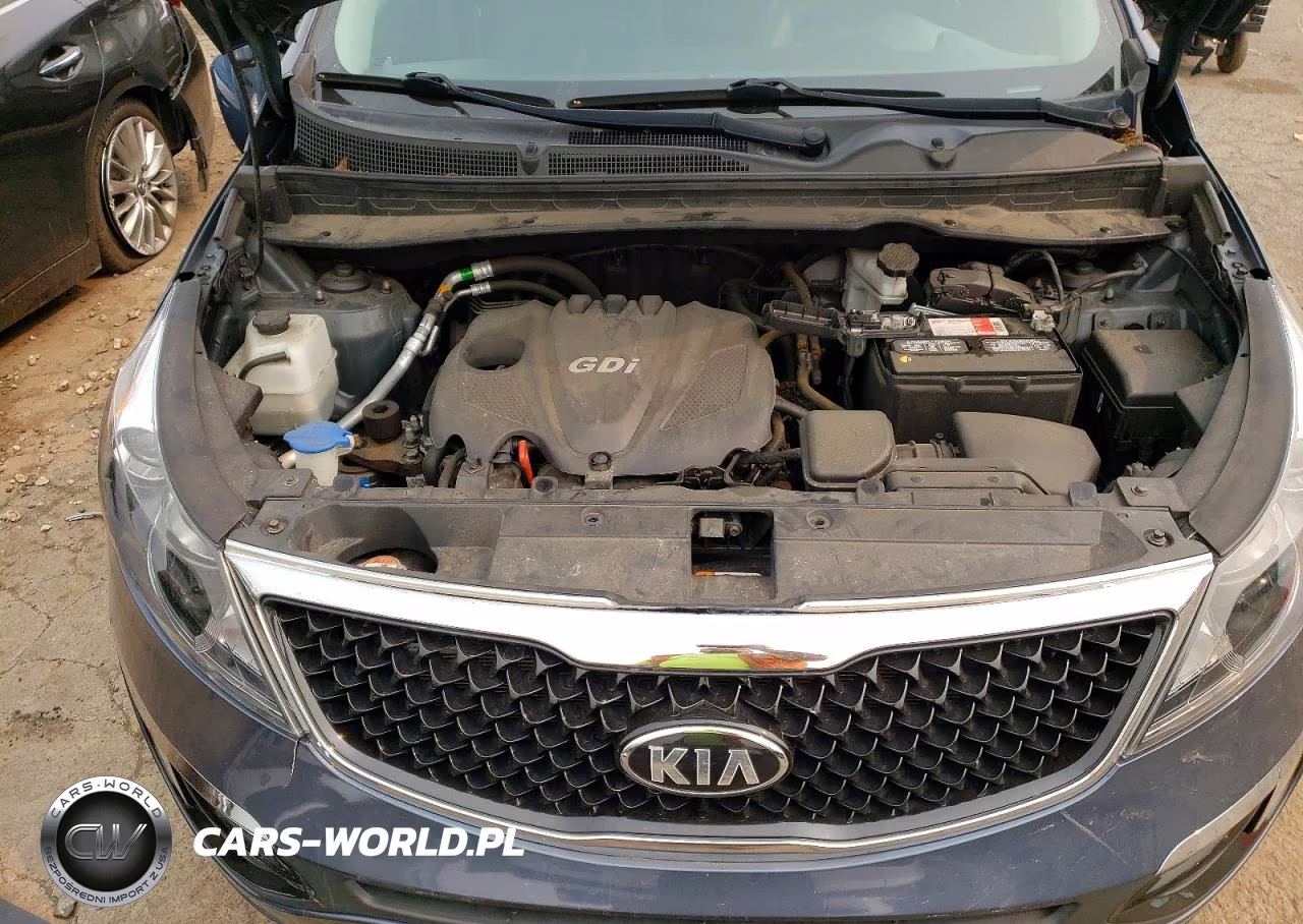 2014 Kia Sportage Ex VIN:KNDPCCACXE7566018 - 12