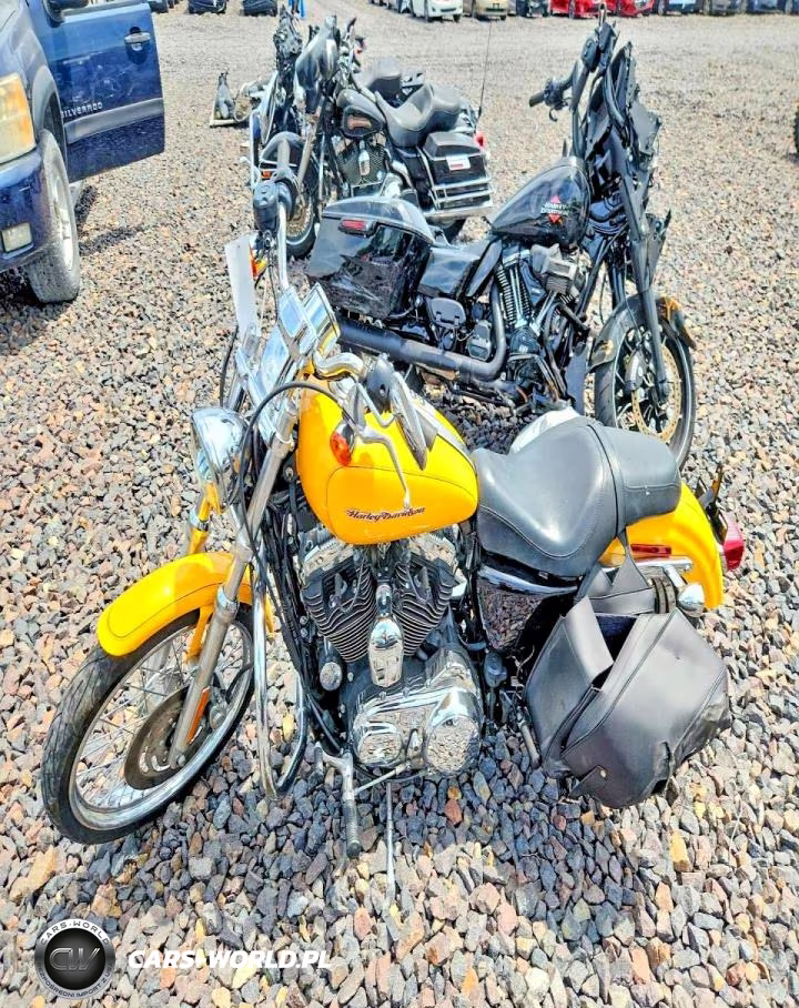 2006 Harley-Davidson Xl1200 C VIN:1HD1CGP1X6K439155 - 3
