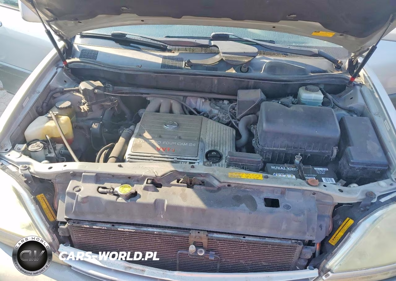 2002 Lexus Rx 300 VIN:JTJHF10U720289517 - 12