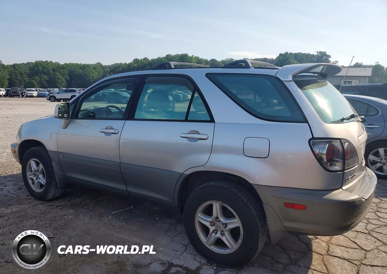 2002 Lexus Rx 300 VIN:JTJHF10U720289517 - 2
