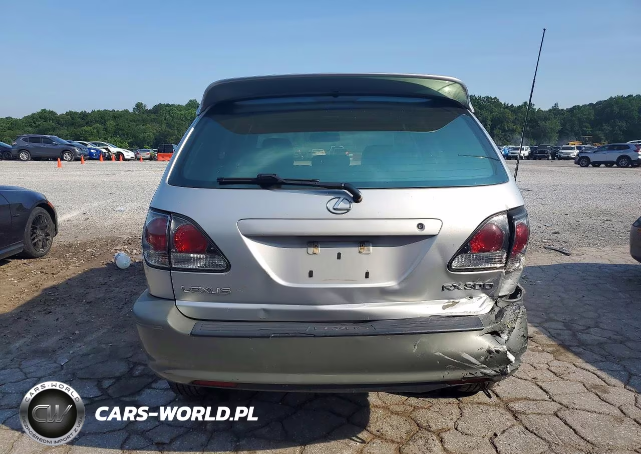 2002 Lexus Rx 300 VIN:JTJHF10U720289517 - 6