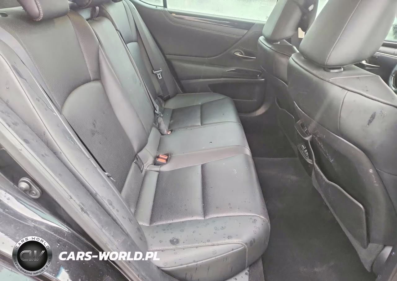 2021 Lexus Es 250 Base VIN:58AD11D11MU001300 - 10