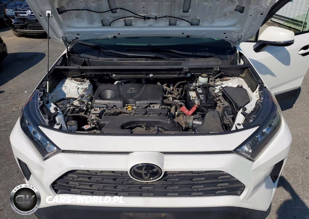 2019 Toyota Rav4 Le VIN:JTMG1RFV0KD016942 - 11