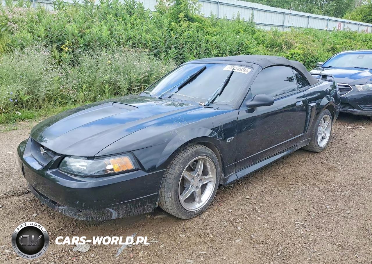 1999 Ford Mustang Gt VIN:1FAFP45X0XF224689 - 1
