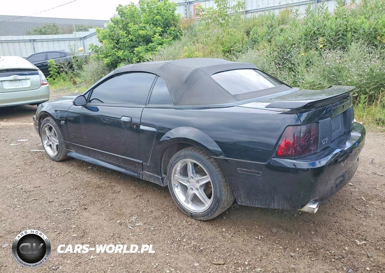 1999 Ford Mustang Gt VIN:1FAFP45X0XF224689 - 2