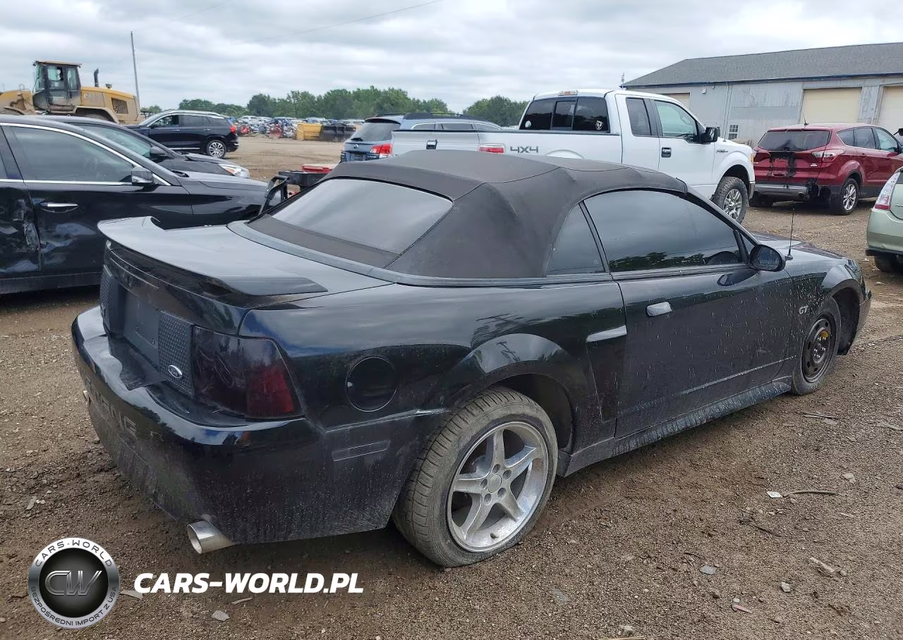1999 Ford Mustang Gt VIN:1FAFP45X0XF224689 - 3