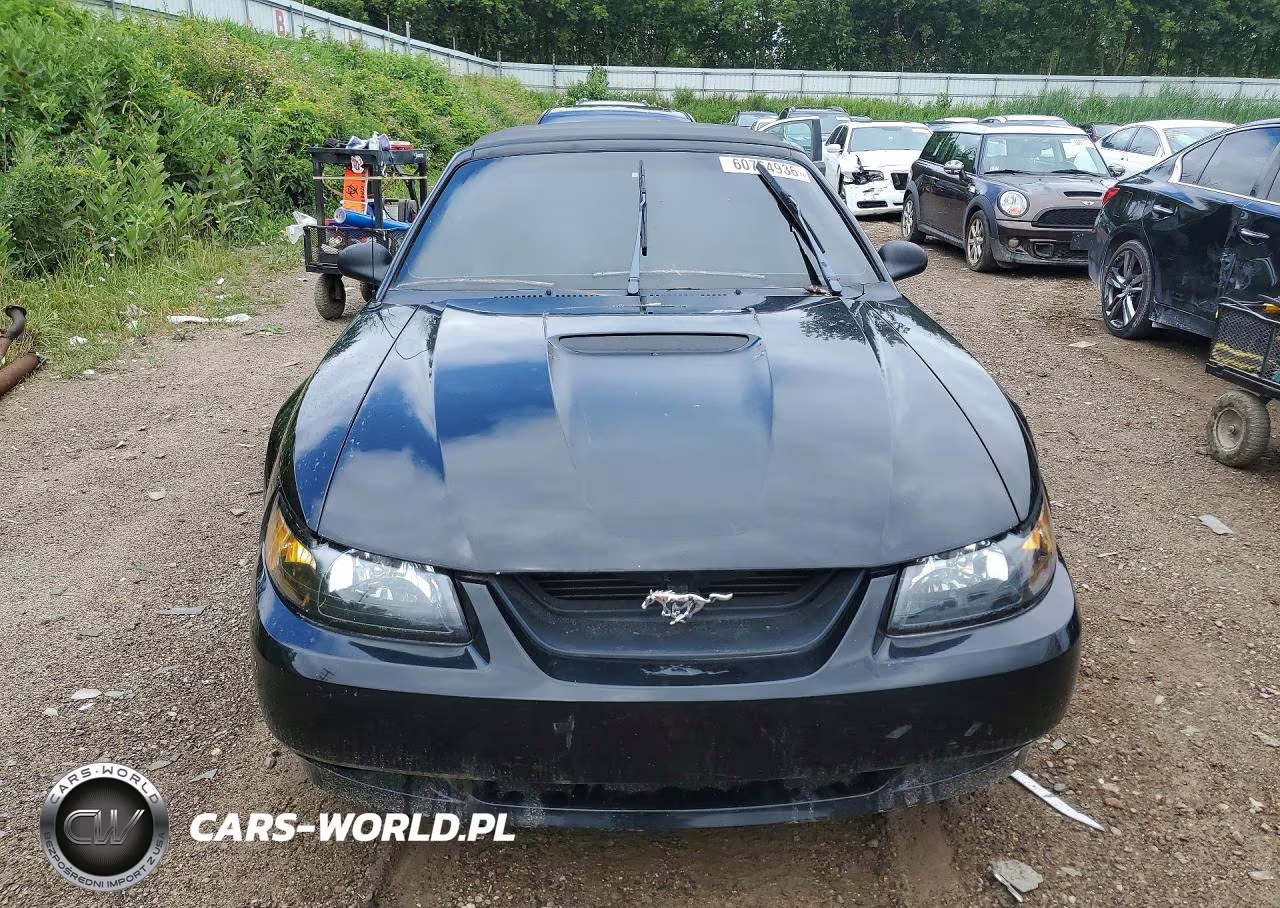 1999 Ford Mustang Gt VIN:1FAFP45X0XF224689 - 5