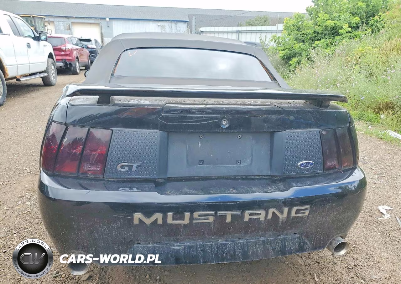 1999 Ford Mustang Gt VIN:1FAFP45X0XF224689 - 6