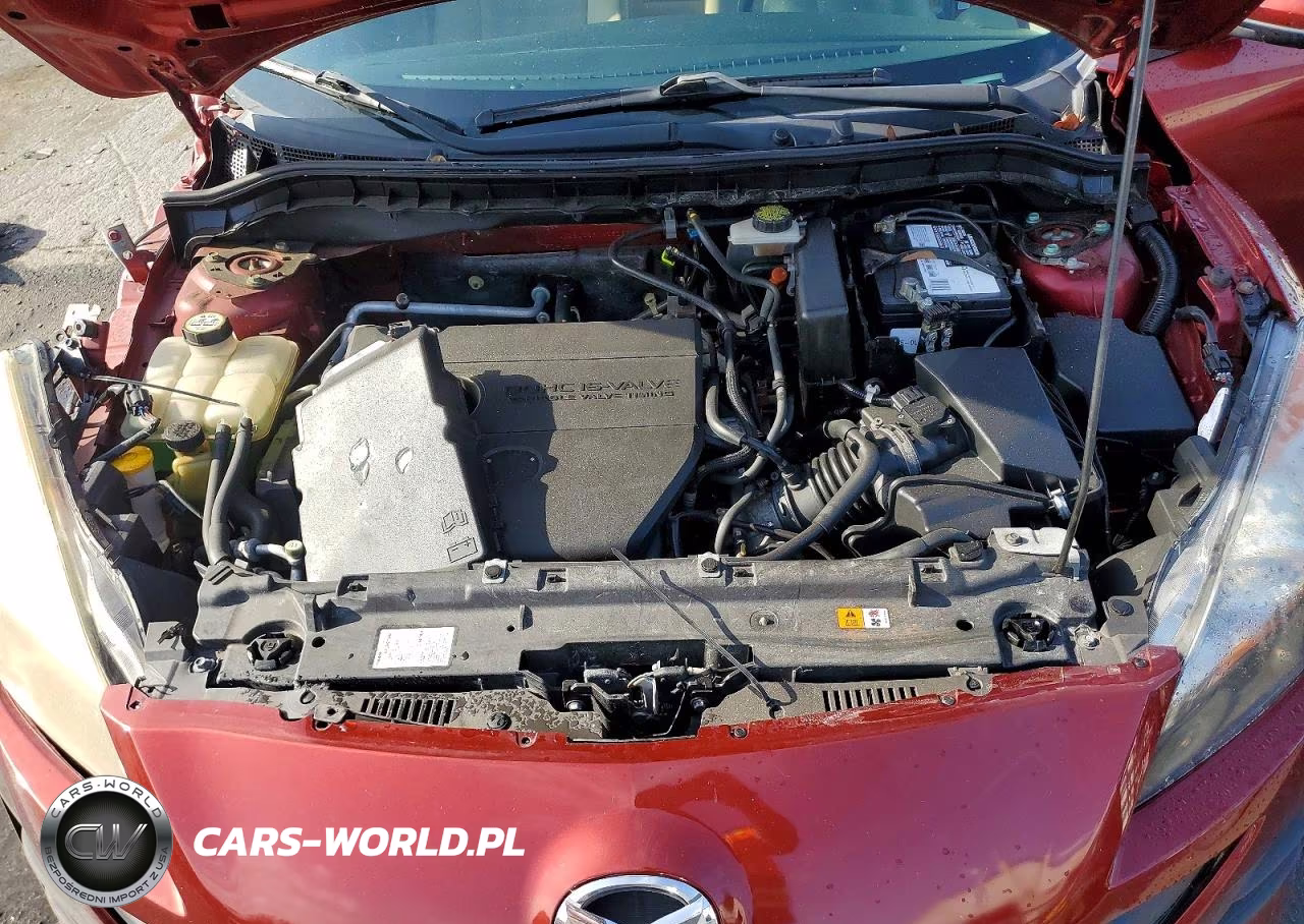 2010 Mazda 3 I VIN:JM1BL1SFXA1316976 - 11