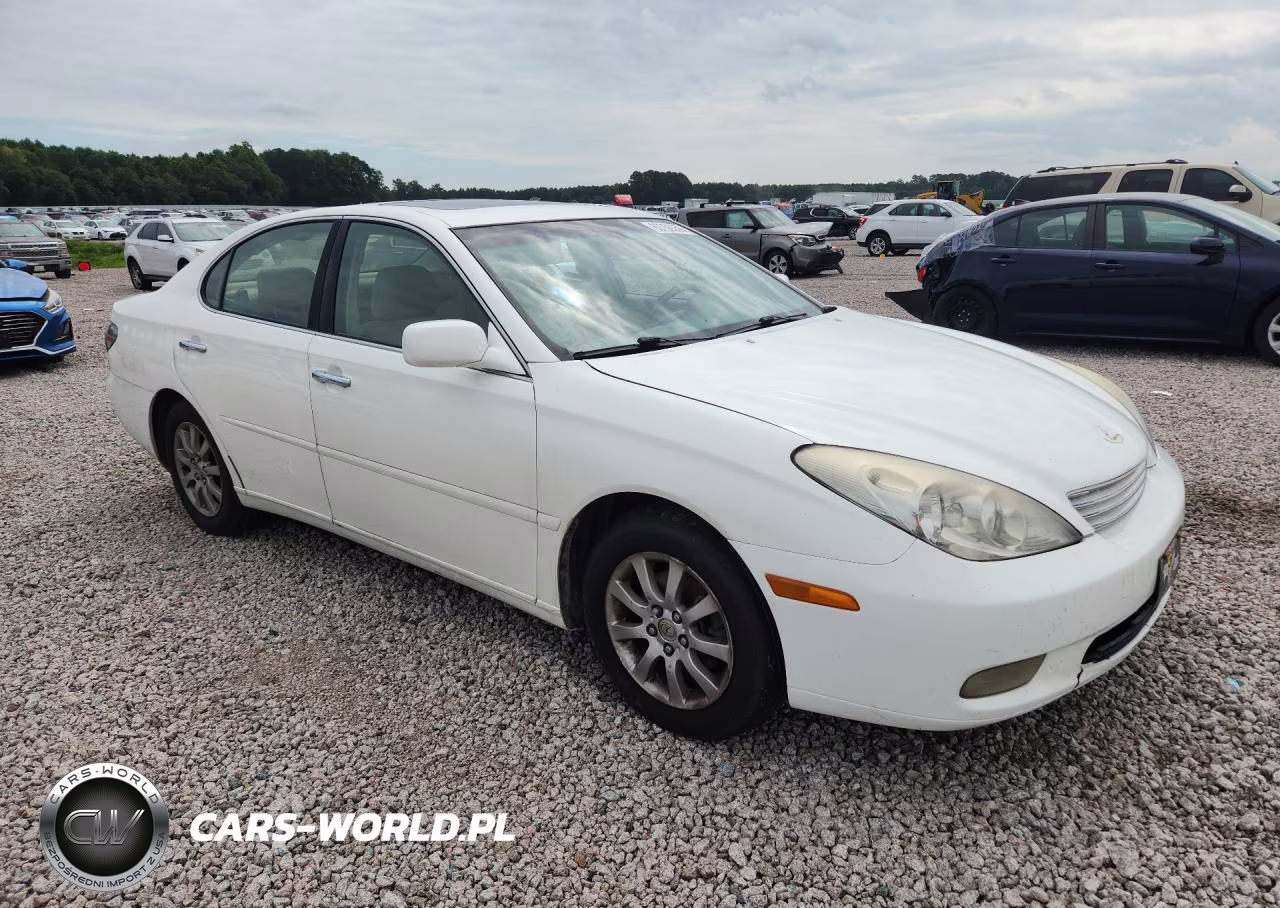 2003 Lexus Es 300 VIN:JTHBF30G236010907 - 4