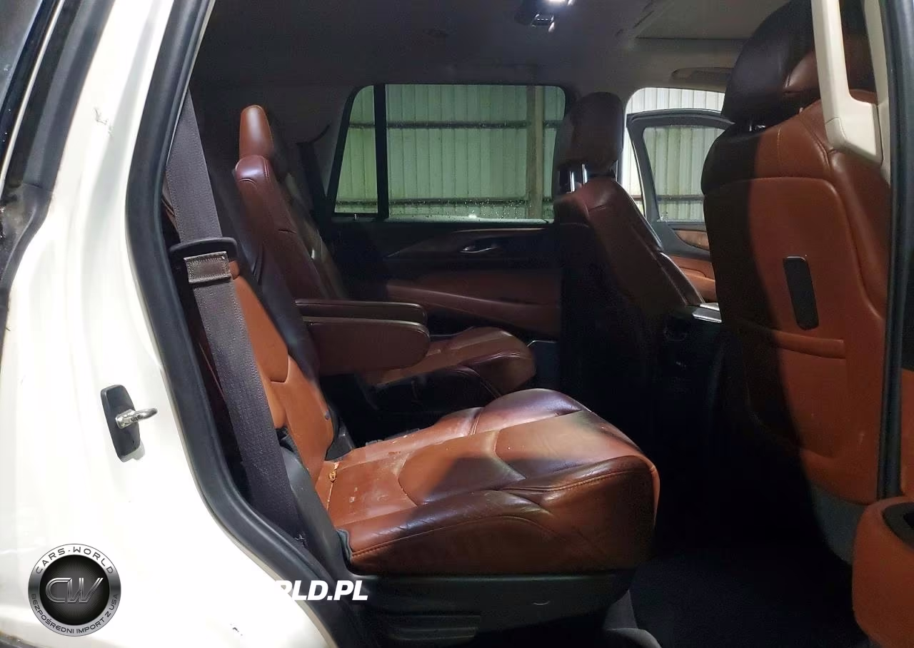2015 Cadillac Escalade Premium VIN:1GYS3CKJXFR207114 - 10
