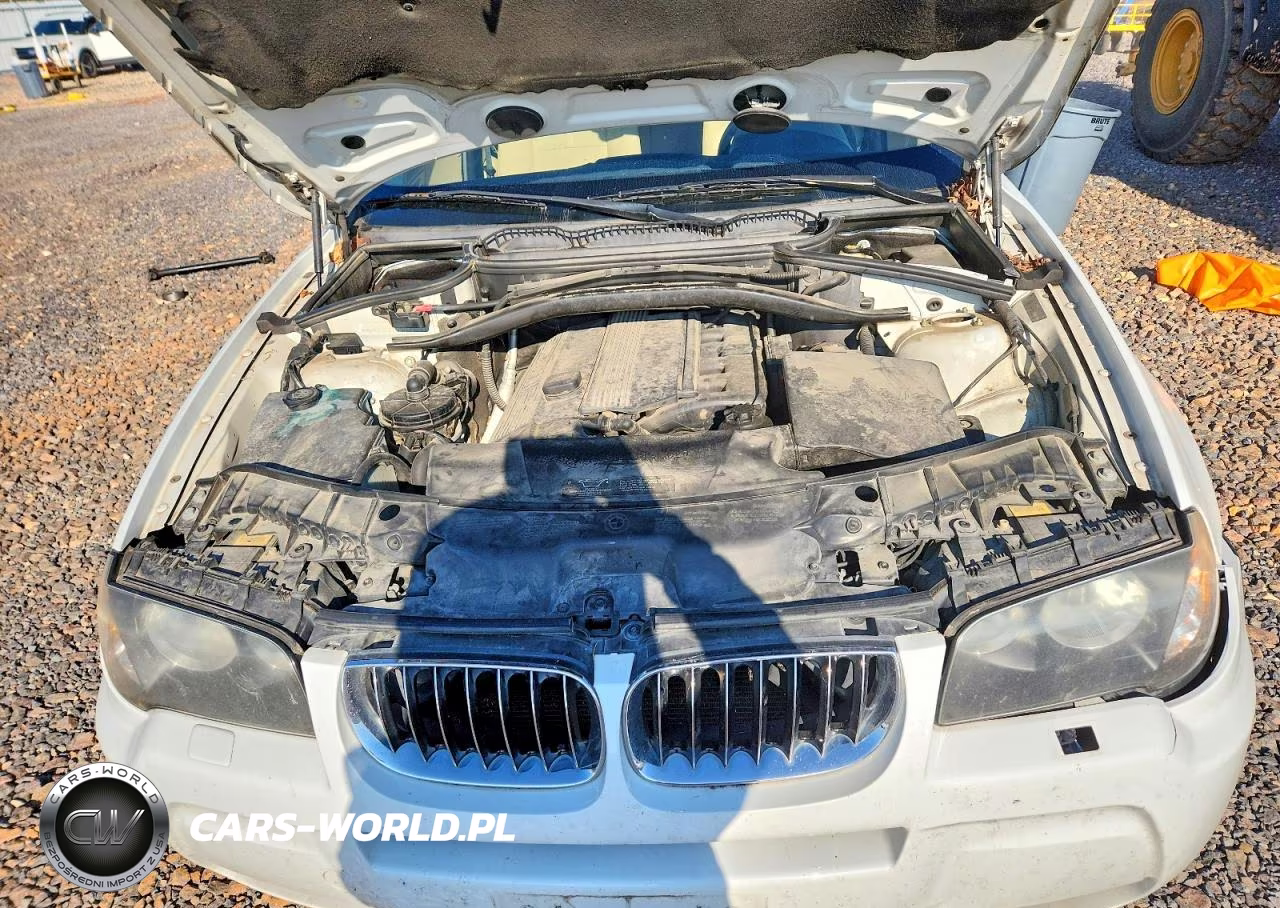 2006 BMW X3 3.0I VIN:WBXPA93496WG83567 - 12